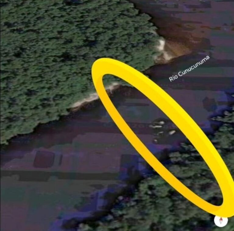 amazonas