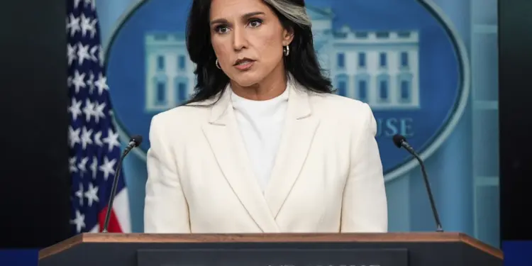 260202-tulsi-gabbard-ew-520p-e675b9-750x375