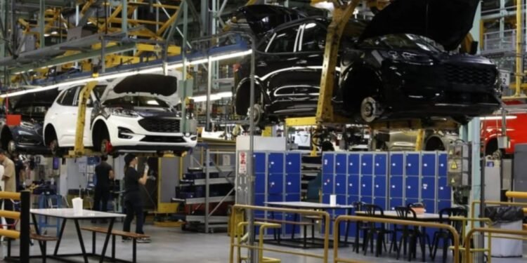 Vehiculos-750x375