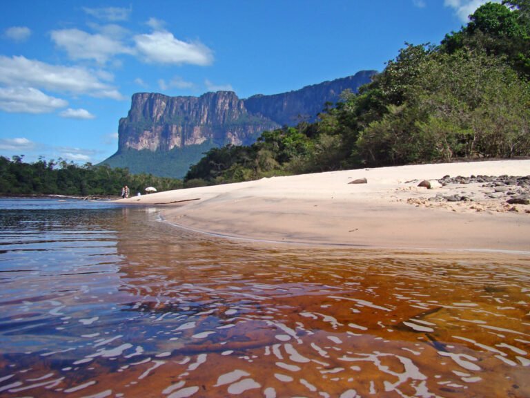 canaima-dano-ecologico
