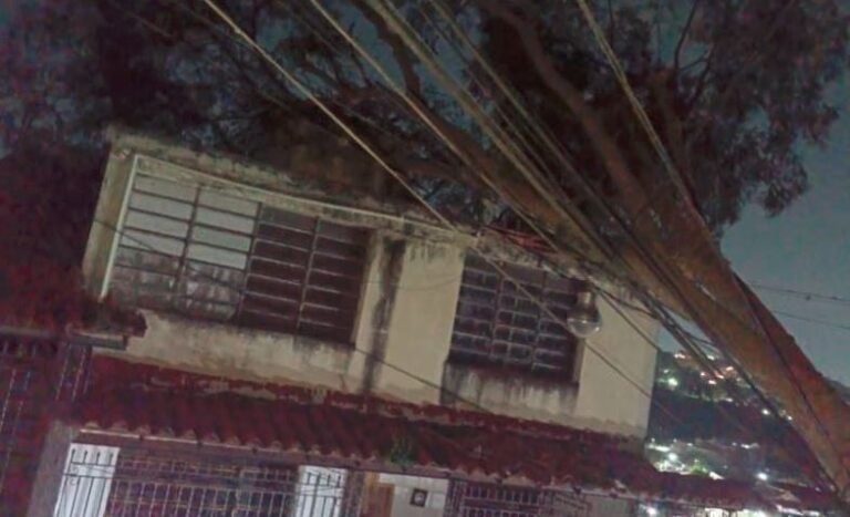 arbol-caido-en-petare (1)